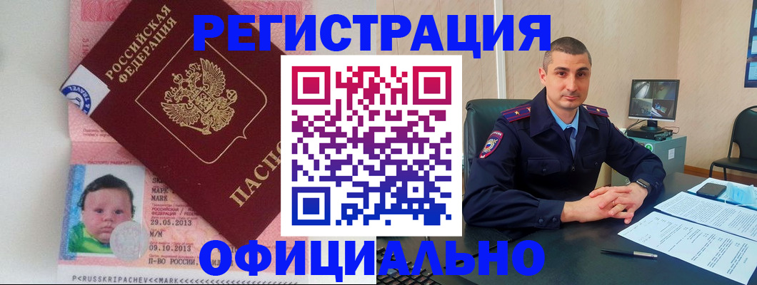 прописка поиск в Галиче
